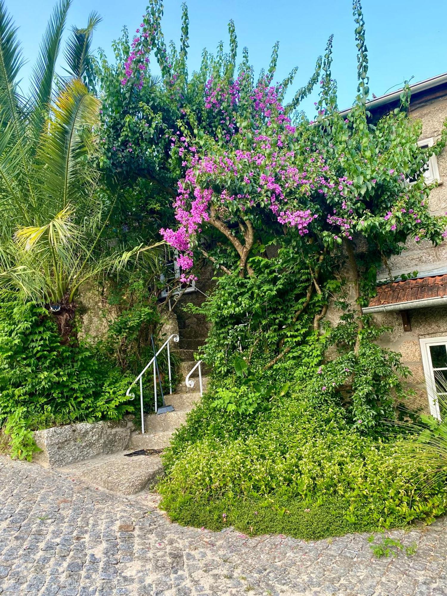 הוילה אמרנטה Quinta De Ribas מראה חיצוני תמונה